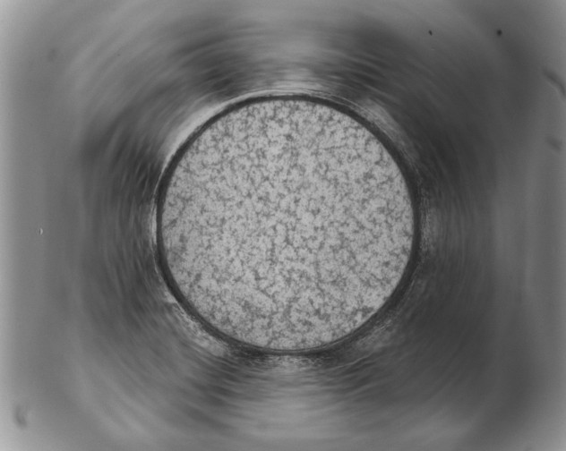 X0000102241420200808221320