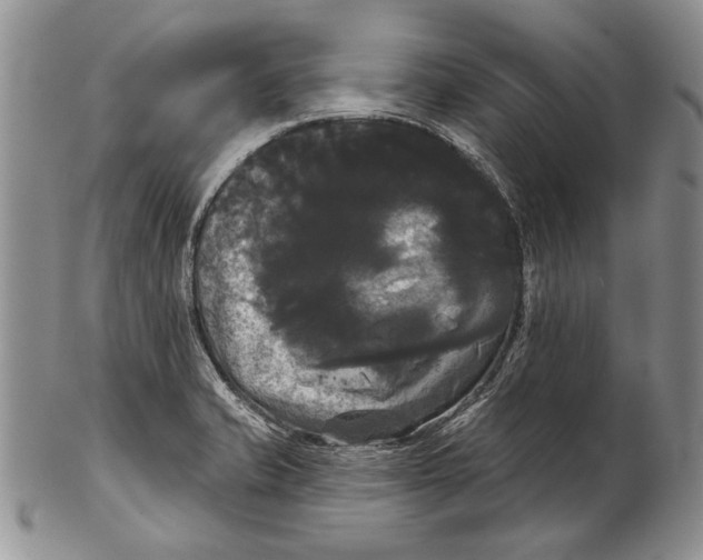 X0000102241421200808221320