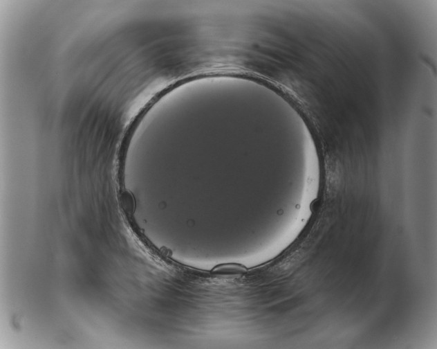 X0000102241422200808221320