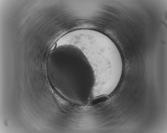 X0000102241425200808221320