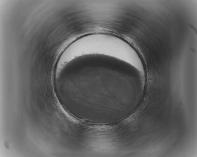 X0000102241429200808221320