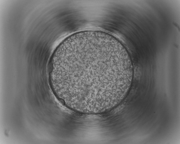 X0000102241430200808221320