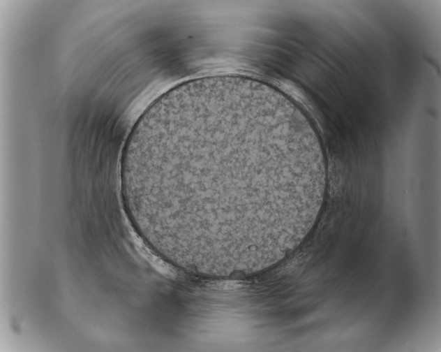 X0000102241431200808221320