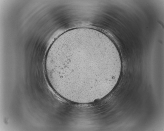 X0000102241432200808221320