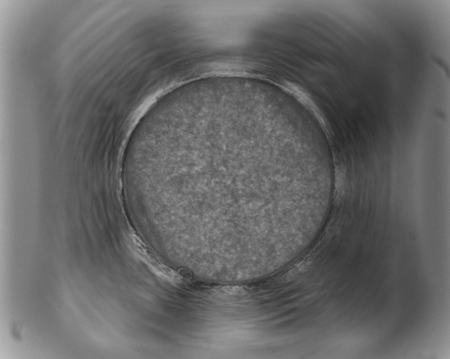 X0000102241435200808221320