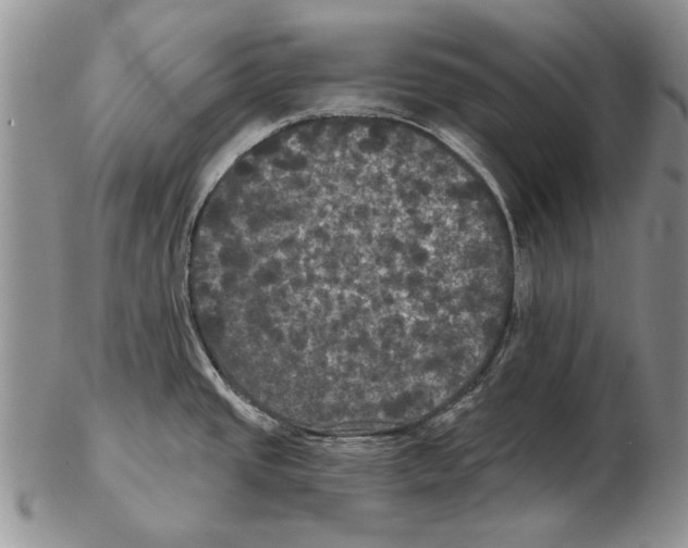 X0000102241437200808221320