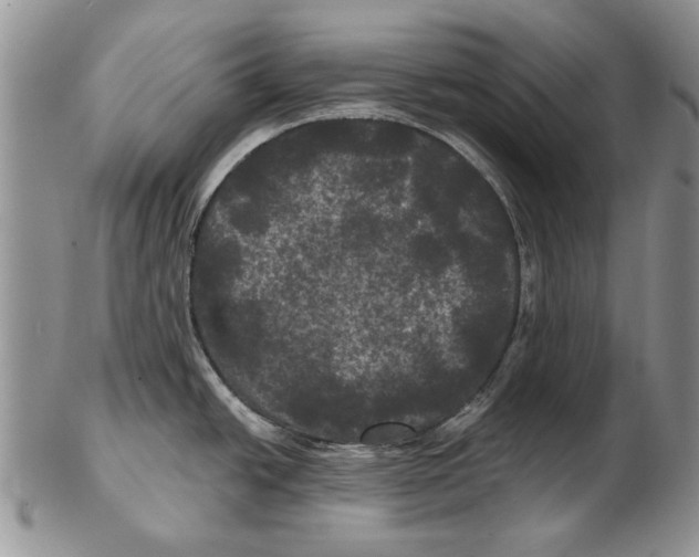 X0000102241438200808221320