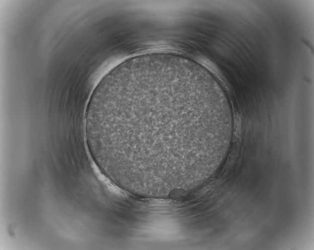 X0000102241439200808221320