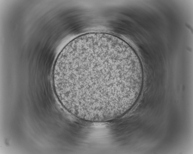 X0000102241440200808221320