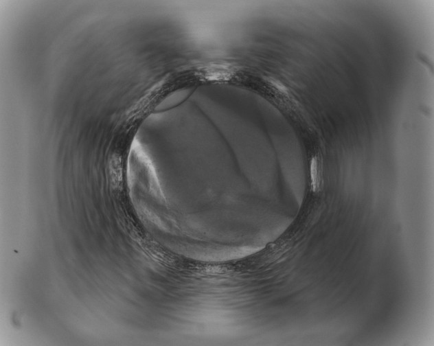 X0000102241443200808221320