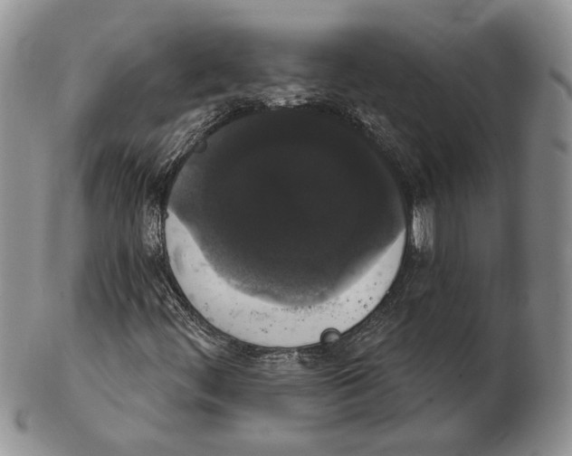 X0000102241444200808221320