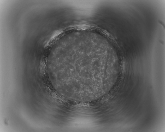 X0000102241446200808221320