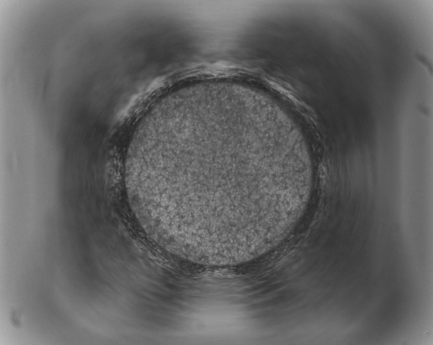 X0000102241447200808221320