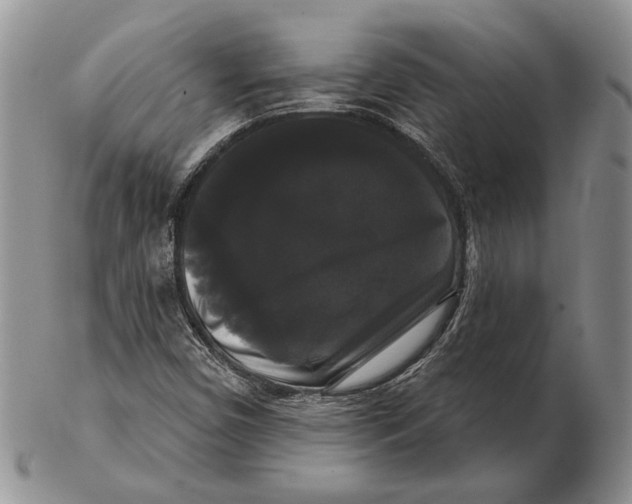 X0000102241450200808221319