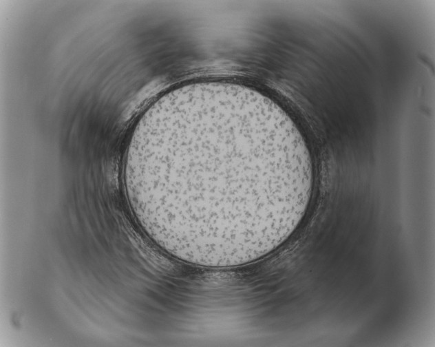 X0000102241451200808221319