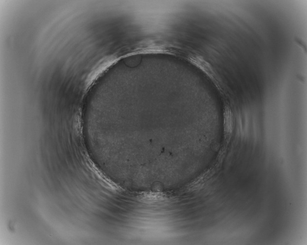 X0000102241452200808221319