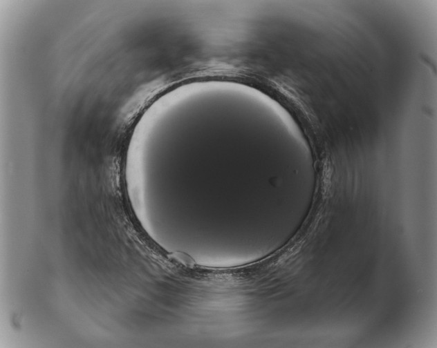 X0000102241455200808221319