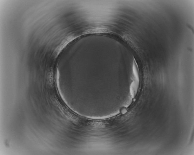 X0000102241457200808221319