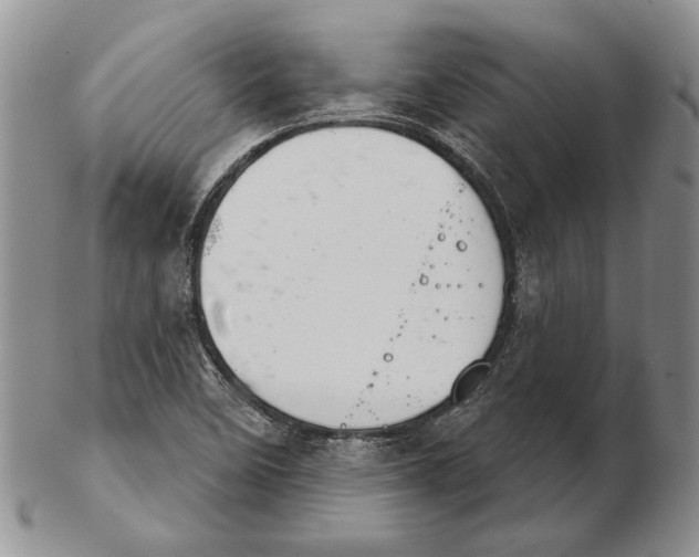 X0000102241458200808221319