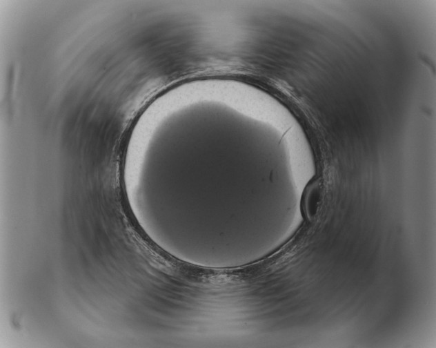 X0000102241459200808221319