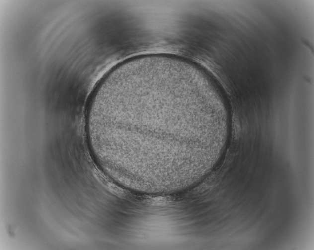 X0000102241460200808221319