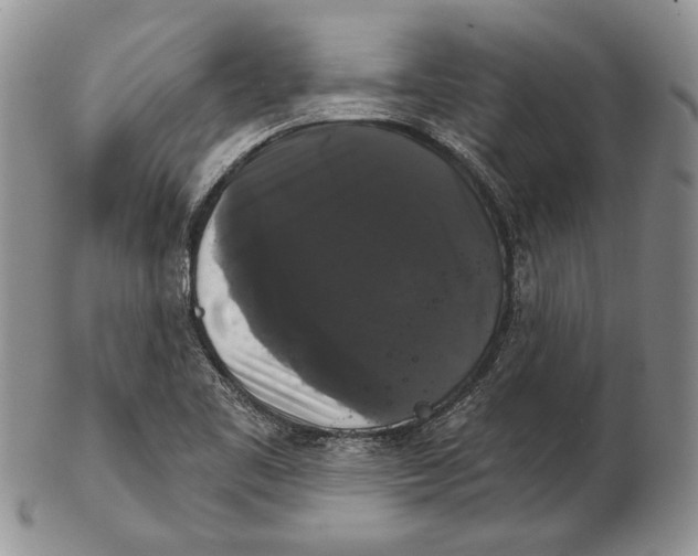 X0000102241461200808221319