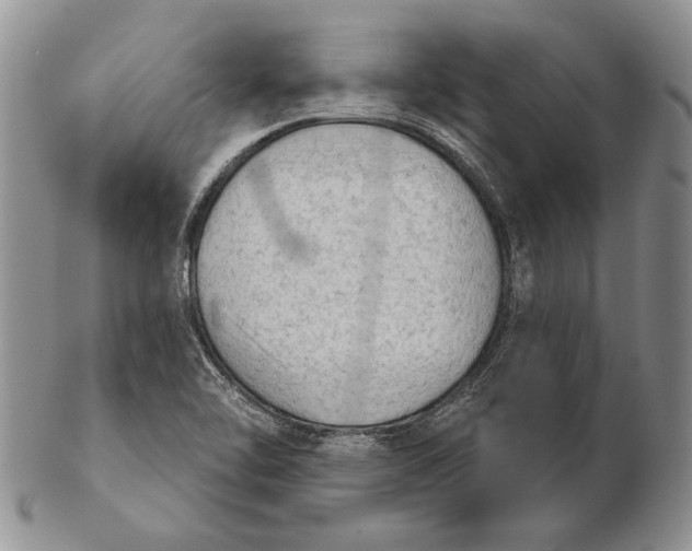 X0000102241462200808221319