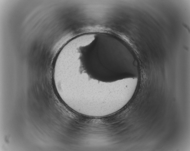 X0000102241463200808221319