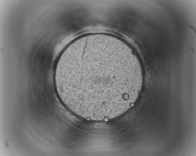 X0000102241464200808221319