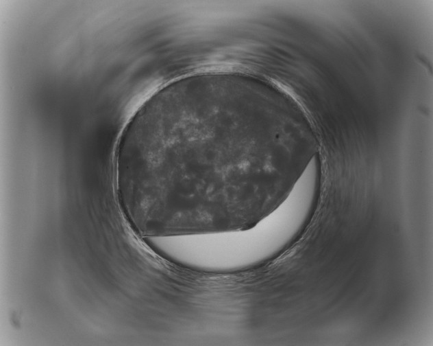 X0000102241467200808221319