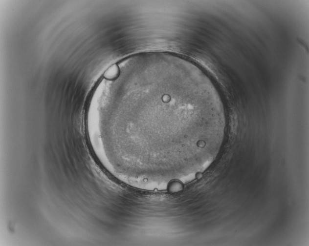 X0000102241468200808221319