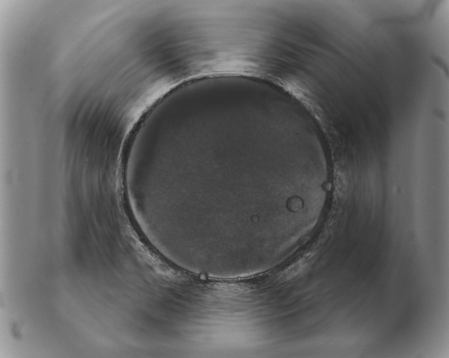 X0000102241469200808221319