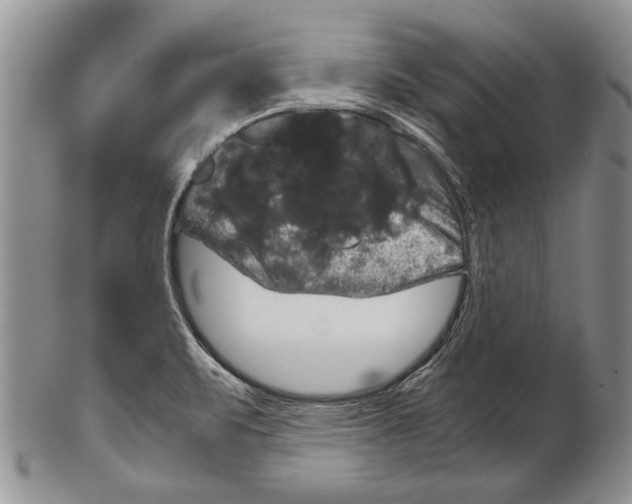 X0000102241471200808221319