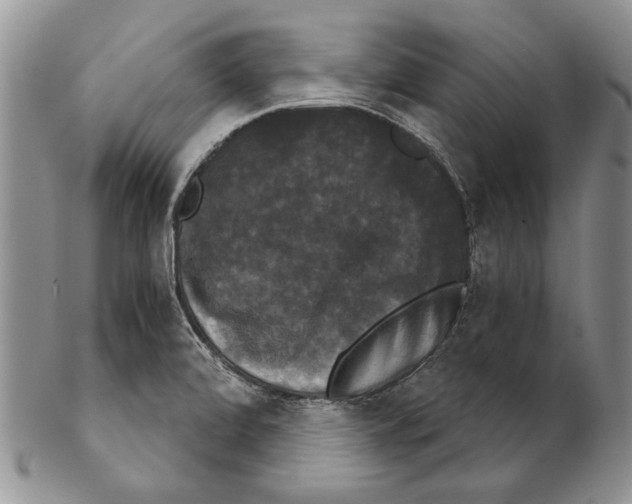 X0000102241472200808221319