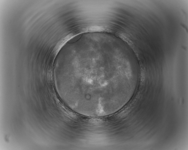 X0000102241473200808221319