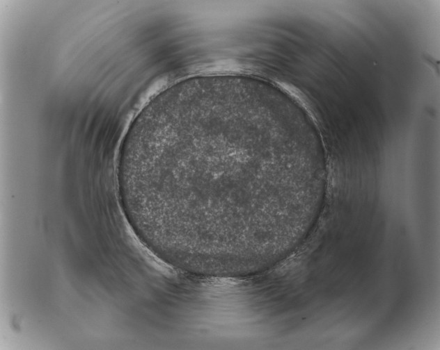 X0000102241475200808221319