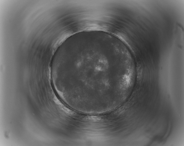 X0000102241476200808221319