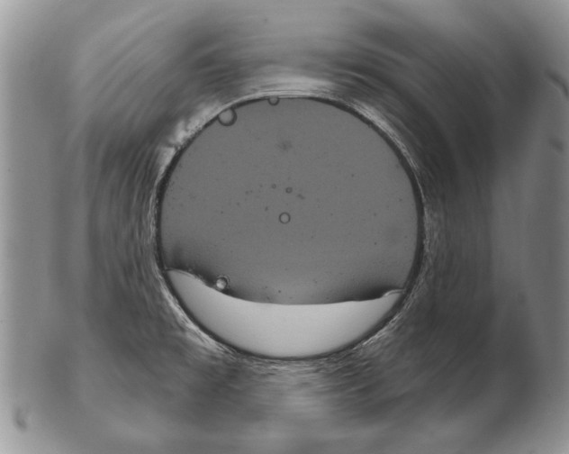 X0000102241477200808221319