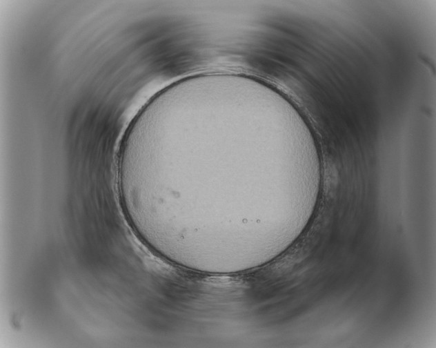 X0000102241478200808221319