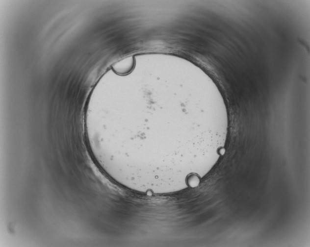 X0000102241479200808221319