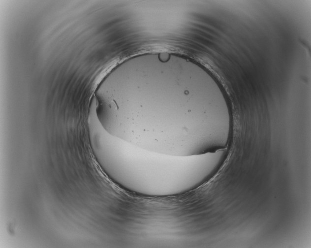 X0000102241481200808221319