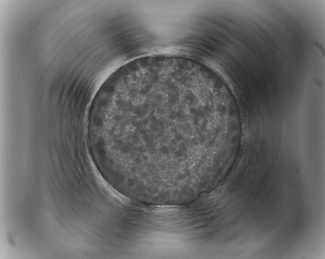 X0000102241483200808221319