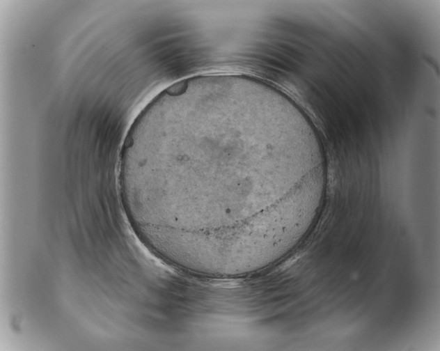 X0000102241484200808221319