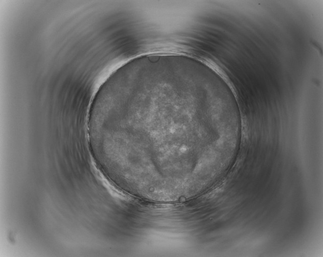 X0000102241485200808221319