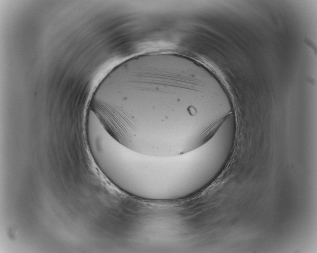 X0000102241488200808221319