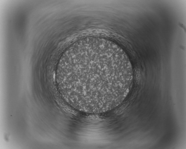 X0000102241489200808221318