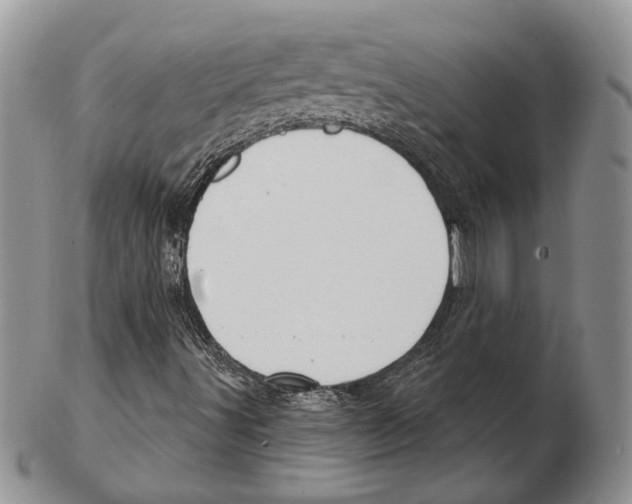 X0000102241491200808221318