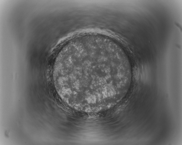 X0000102241494200808221318