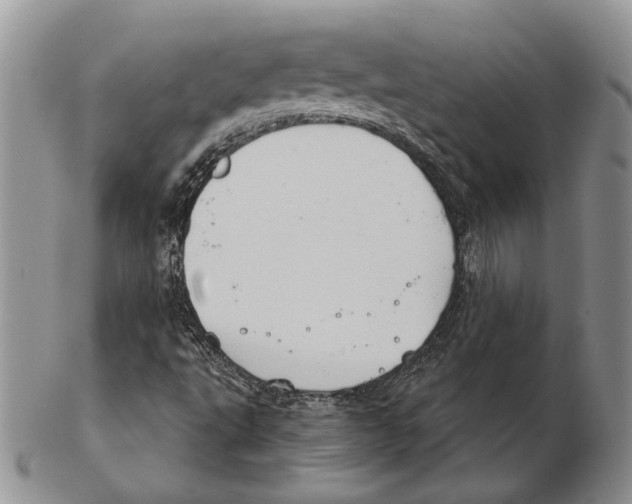 X0000102241495200808221318