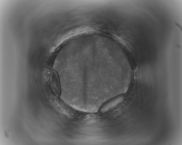 X0000102241496200808221318